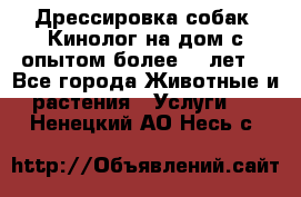 Дрессировка собак (Кинолог на дом с опытом более 10 лет) - Все города Животные и растения » Услуги   . Ненецкий АО,Несь с.